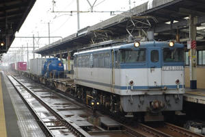 IMGP9135.JPG