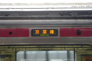 IMGP9169.JPG