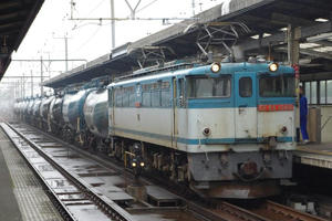 IMGP9204.JPG