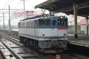 IMGP9255.JPG
