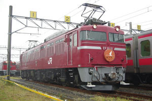 IMGP9321.JPG