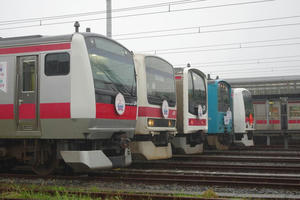 IMGP9368.JPG