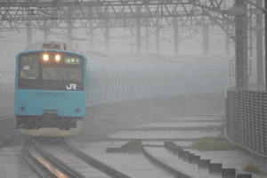 IMGP9385.JPG