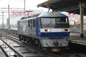 IMGP9178.JPG
