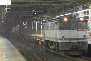 IMGP0692.JPG