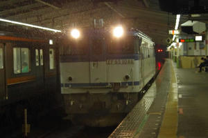 IMGP0723.JPG