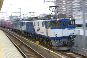 IMGP2122.JPG