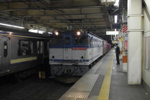 IMGP3186.JPG