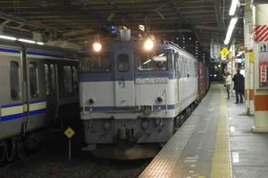 IMGP4073.JPG