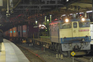 IMGP4083.JPG