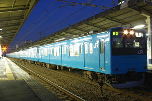 IMGP4116.JPG