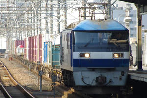 IMGP4428.JPG