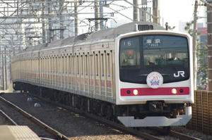 IMGP4458.JPG