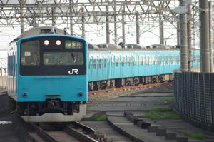 IMGP4492.JPG