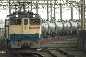 IMGP4512.JPG