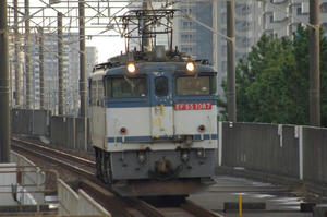 IMGP4522.JPG