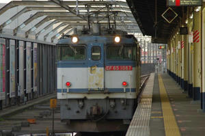 IMGP4547.JPG