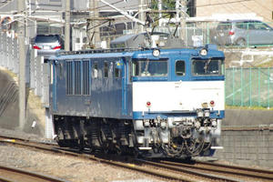 IMGP5858.JPG