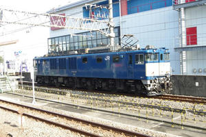 IMGP5864.JPG