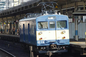 IMGP5918.JPG