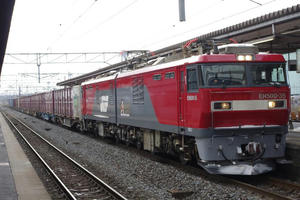 IMGP6155.JPG