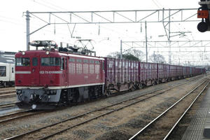 IMGP6174.JPG