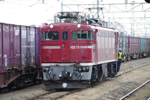 IMGP6191.JPG