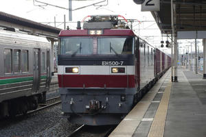 IMGP6196.JPG