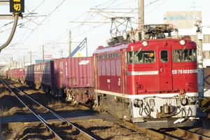 IMGP6220.JPG
