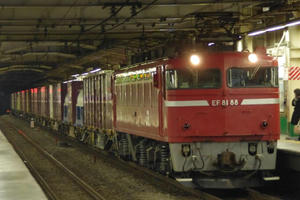 IMGP6411.JPG
