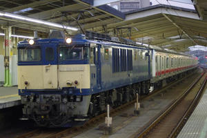 IMGP6463.JPG