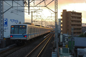 IMGP7153.JPG