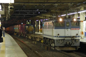 IMGP7333.JPG