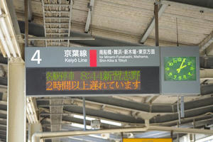 IMGP7417.JPG