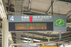 IMGP7418.JPG