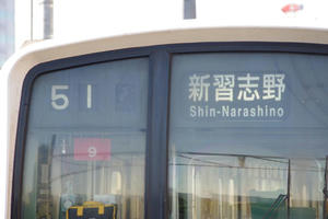 IMGP7433.JPG