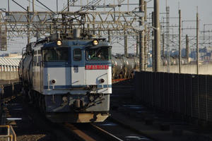 IMGP7489.JPG