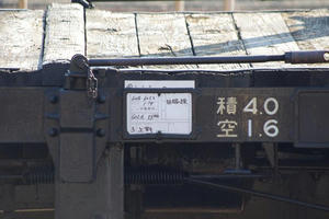 IMGP7608.JPG