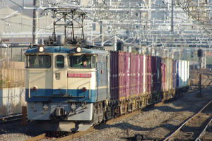 IMGP7620.JPG