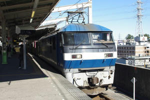 IMGP7670.JPG