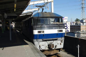 IMGP7700.JPG