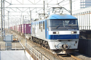 IMGP8089.JPG