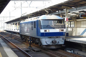 IMGP8097.JPG