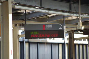 IMGP8117.JPG