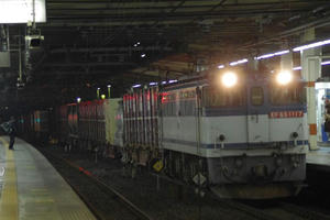 IMGP8554.JPG