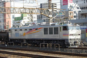 IMGP8899.jpg