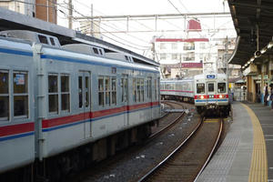 IMGP8930.JPG