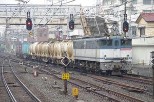 IMGP9126.JPG