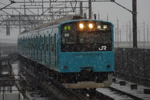 IMGP9246.JPG