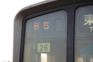 IMGP9504.JPG
